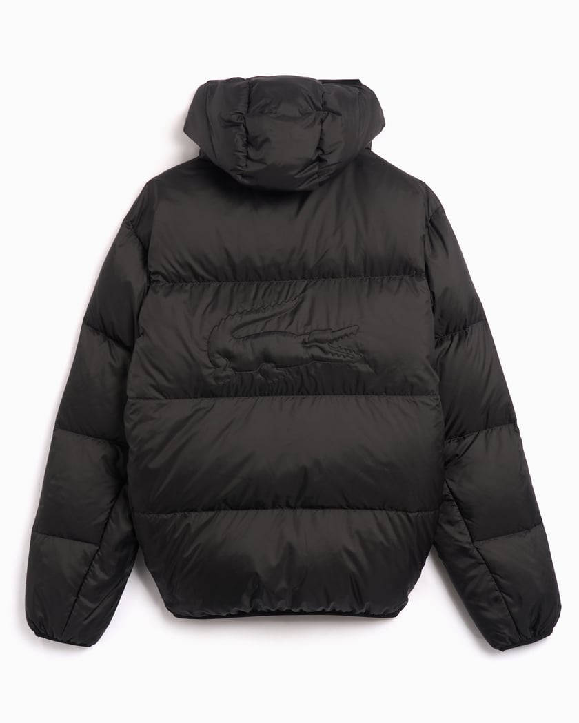Short Water Repellent Hooded Puffed Jacket