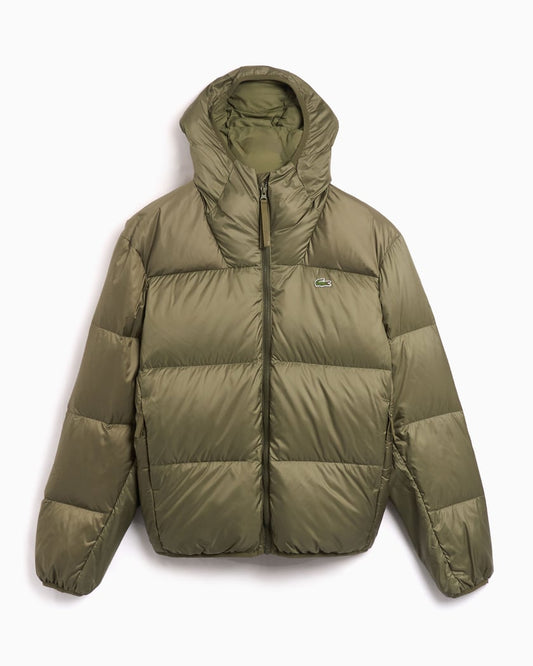 Short Water Repellent Hooded Puffed Jacket
